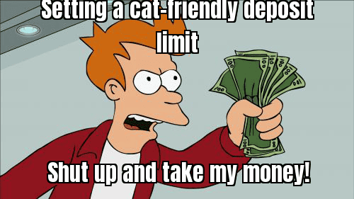 A FUNNY MEME ABOUT GAMBLING RESPONSIBLY, LIKE A CAT SETTING A DEPOSIT LIMIT