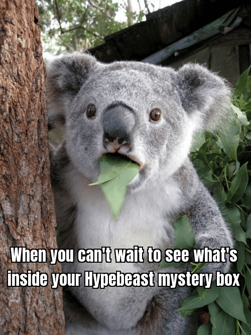 A meme of someone looking excited and anxious while opening a box, with the caption "When you can't wait to see what's inside your Hypebeast mystery box!"