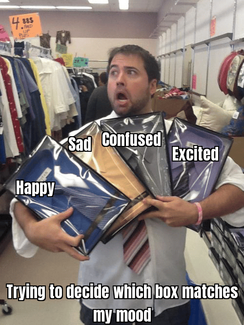 A meme showing someone happily browsing through different themed boxes with a caption like “One for each mood”.
