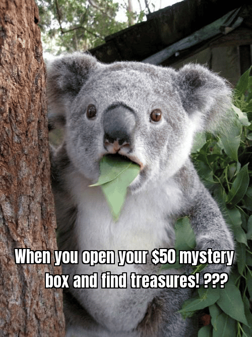 A meme with a caption "When you open your $50 mystery box and find a mix of tech and fashion. Winning?" showing a person celebrating.