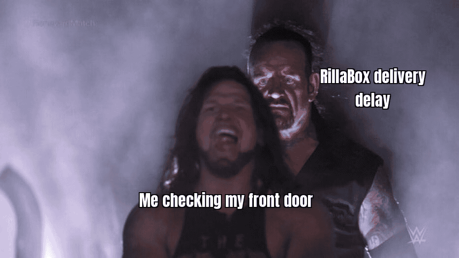 Humorous meme about waiting for a RillaBox package delivery